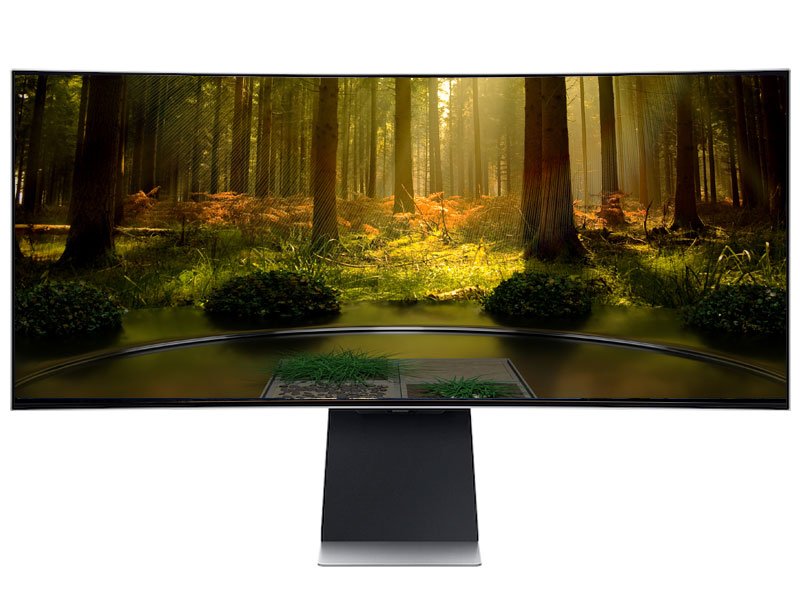 Forest wallpaper Ultrawide