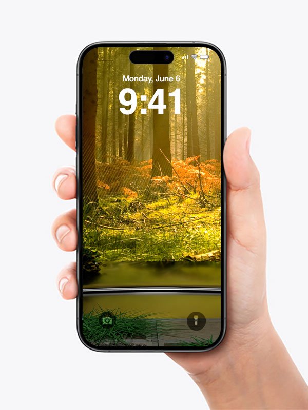 Forest Wallpaper iphone