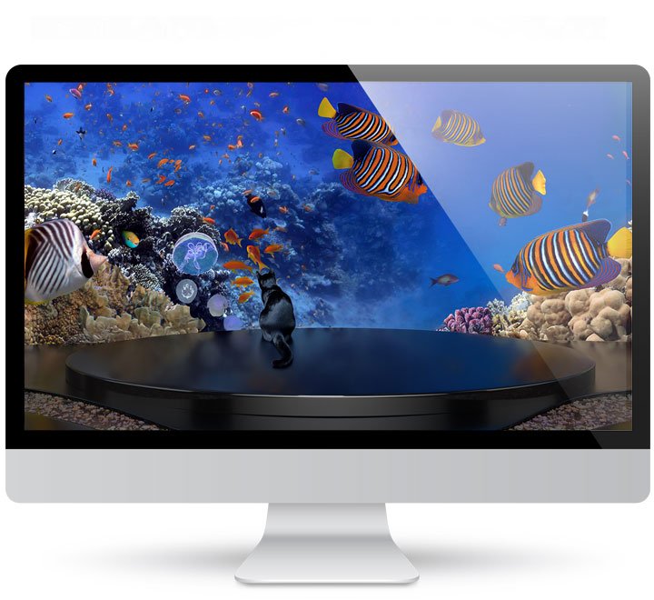 Coral reef wallpaper 4k