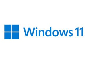 Windows 11